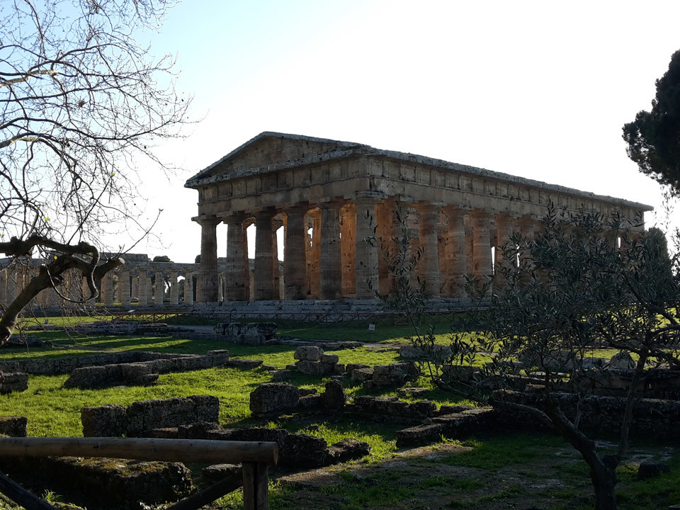 Tour Paestum e assaggio mozzarella di bufala - Tempio di Atena