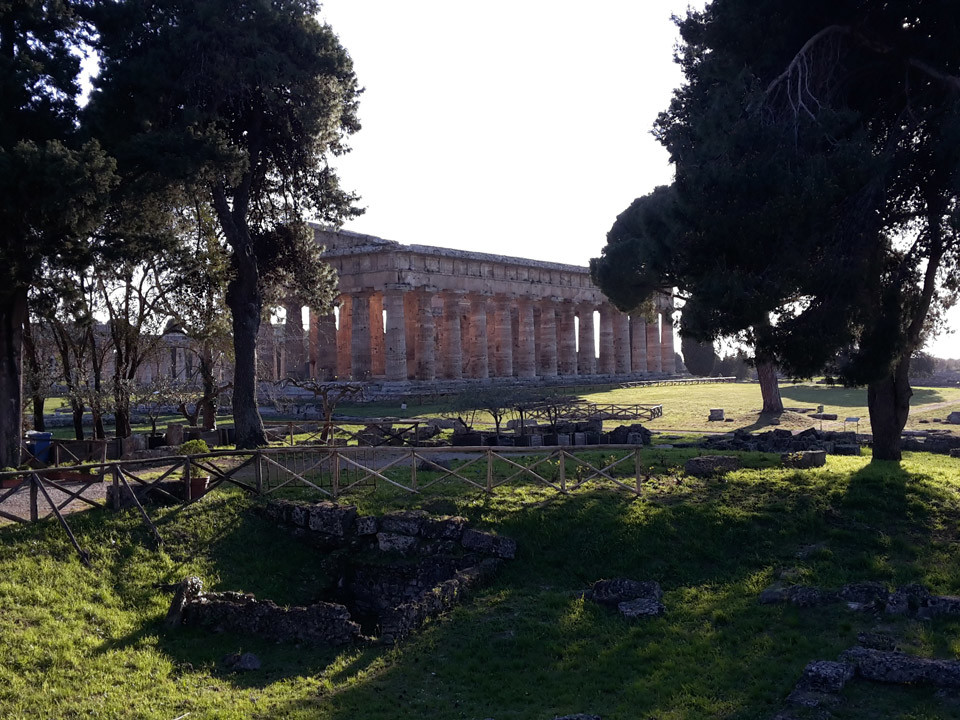 Tour Paestum e assaggio mozzarella di bufala - Tempio di Nettuno